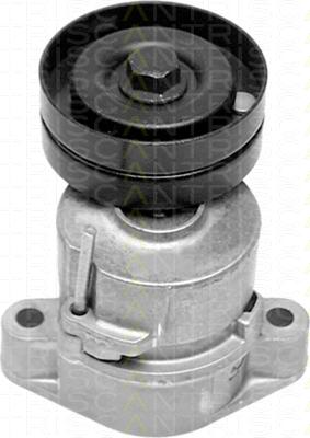Triscan 8641 243001 - Натяжитель, поликлиновый ремень abcparts.ee