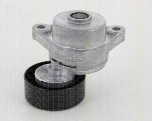 Triscan 8641 213001 - Натяжитель, поликлиновый ремень abcparts.ee