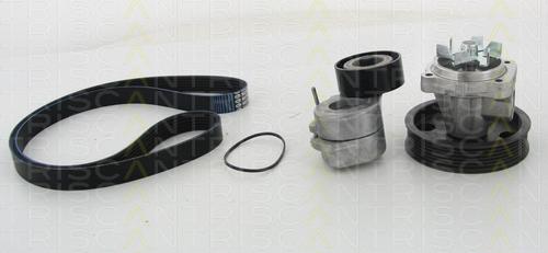 Triscan 8642 100502 - Водяной насос + комплект ручейковых ремней abcparts.ee