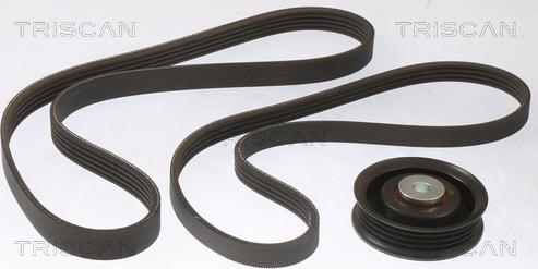 Triscan 8642 10029 - Поликлиновый ременный комплект abcparts.ee
