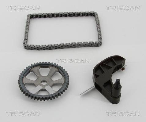 Triscan 8650 29013 - Комплект цепи привода распредвала abcparts.ee