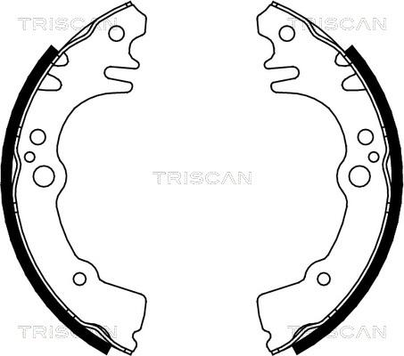 Triscan 8100 41616 - Комплект тормозных колодок, барабанные abcparts.ee