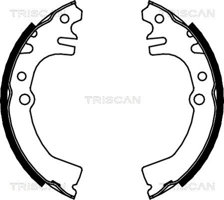 Triscan 8100 41613 - Комплект тормозных колодок, барабанные abcparts.ee