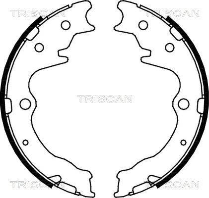 Triscan 8100 50003 - Комплект тормозов, ручник, парковка abcparts.ee