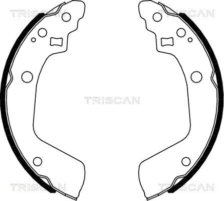 Triscan 8100 69008 - Комплект тормозных колодок, барабанные abcparts.ee