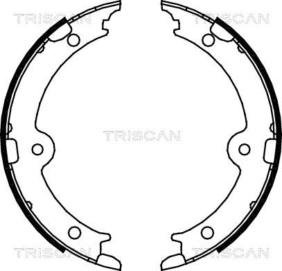 Triscan 8100 13045 - Комплект тормозов, ручник, парковка abcparts.ee