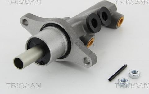 Triscan 8130 29181 - Главный тормозной цилиндр abcparts.ee