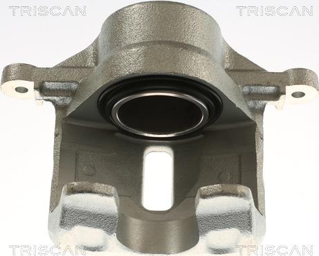 Triscan 8175 43117 - Pidurisadul abcparts.ee