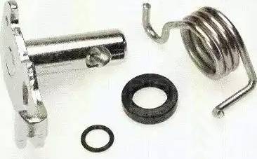 Triscan 8170 209911 - Ремкомплект, вал стояночный тормозной (тормозной суппорт) abcparts.ee