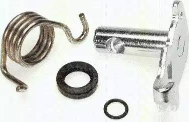 Triscan 8170 209912 - Ремкомплект, вал стояночный тормозной (тормозной суппорт) abcparts.ee