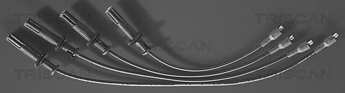 Triscan 8860 6206 - Комплект проводов зажигания abcparts.ee