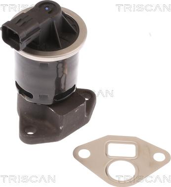 Triscan 8813 21004 - Клапан возврата ОГ abcparts.ee