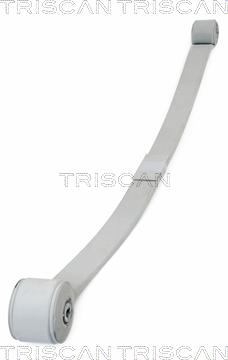 Triscan 8765 16045 - Многолистовая рессора abcparts.ee