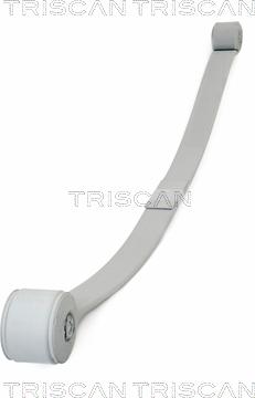 Triscan 8765 16046 - Многолистовая рессора abcparts.ee