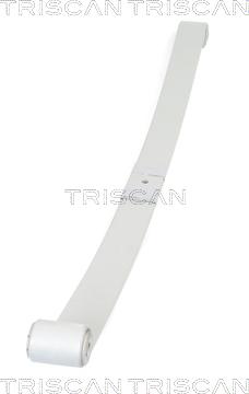 Triscan 8765 10008 - Многолистовая рессора abcparts.ee