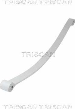 Triscan 8765 10010 - Многолистовая рессора abcparts.ee