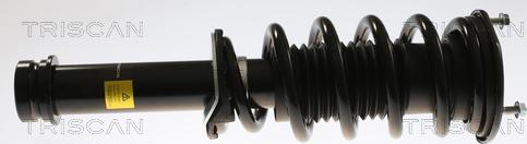 Triscan 8705 81107 - Амортизатор abcparts.ee