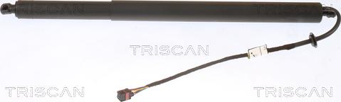 Triscan 8710 43301 - Газовая пружина, упор abcparts.ee