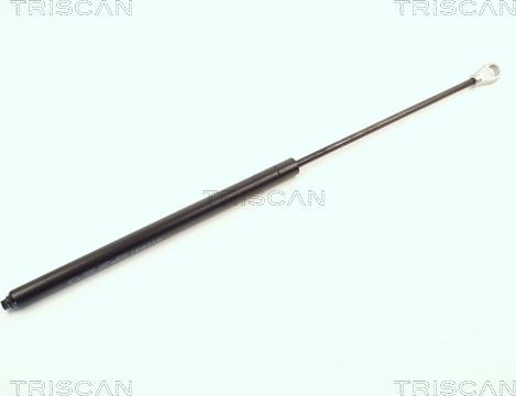 Triscan 8710 1615 - Газовая пружина, упор abcparts.ee