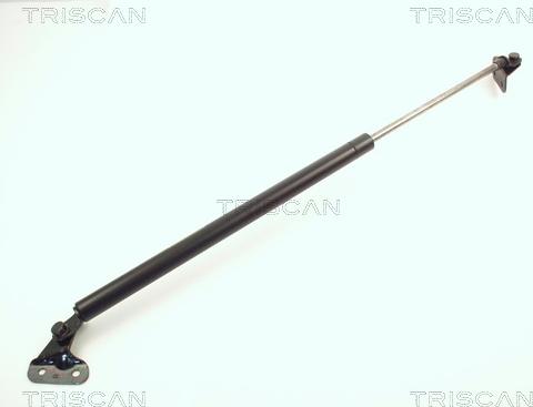 Triscan 8710 10201 - Газовая пружина, упор abcparts.ee