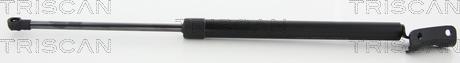 Triscan 8710 10218 - Газовая пружина, упор abcparts.ee
