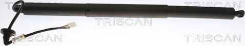 Triscan 8710 81205 - Газовая пружина, упор abcparts.ee
