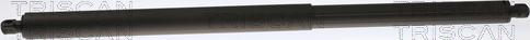 Triscan 8710 81200 - Газовая пружина, упор abcparts.ee