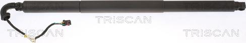 Triscan 8710 29308 - Газовая пружина, упор abcparts.ee