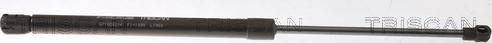 Triscan 8710 24294 - Газовая пружина, упор abcparts.ee