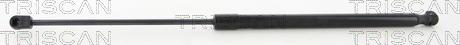 Triscan 8710 27223 - Газовая пружина, упор abcparts.ee