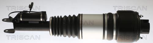 Triscan 8720 23103 - Опора пневматической рессоры abcparts.ee
