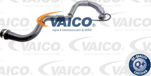 VAICO V46-0742 - Трубка, нагнетание воздуха abcparts.ee