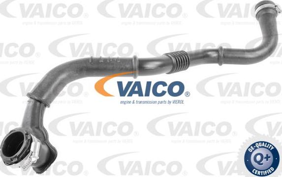 VAICO V46-0736 - Трубка, нагнетание воздуха abcparts.ee
