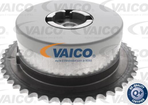 VAICO V40-1204 - Шестерня привода распределительного вала abcparts.ee