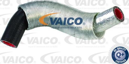 VAICO V42-0562 - Масляный шланг abcparts.ee