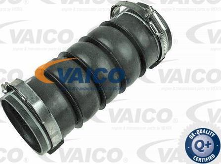 VAICO V42-0614 - Трубка, нагнетание воздуха abcparts.ee