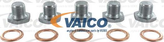 VAICO V42-0259 - Резьбовая пробка, масляный поддон abcparts.ee