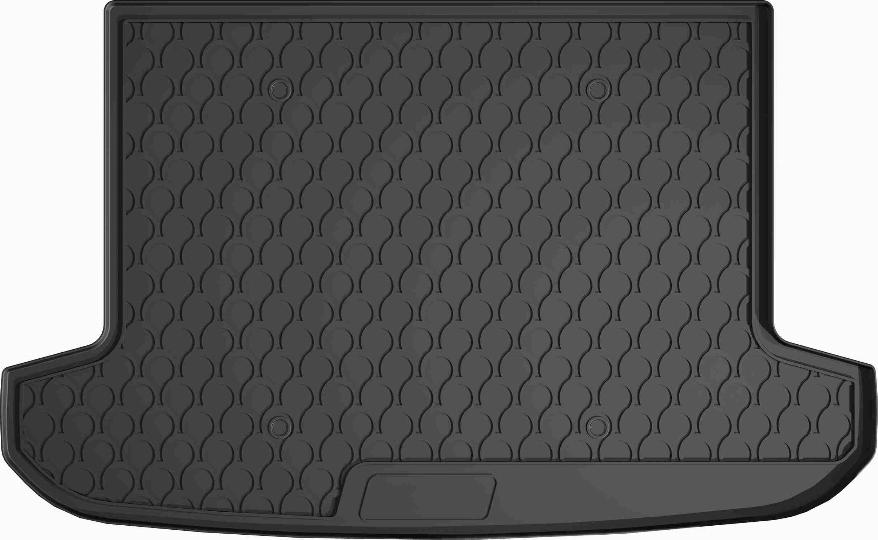 VAICO V52-0402 - Ванночка для багажника abcparts.ee