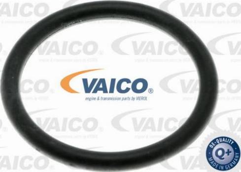 VAICO V10-4846 - Шланг, вентиляция картера abcparts.ee
