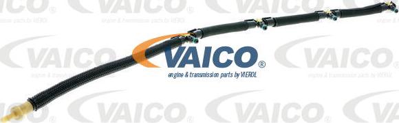 VAICO V10-5499 - Шланг, распределение топлива abcparts.ee