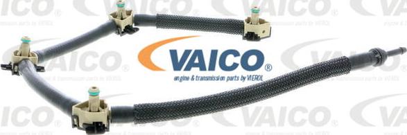 VAICO V10-5496 - Шланг, распределение топлива abcparts.ee