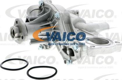 VAICO V10-50013 - Водяной насос abcparts.ee