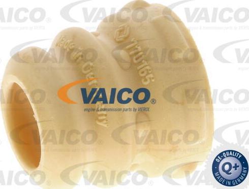 VAICO V10-6029 - Отбойник, демпфер амортизатора abcparts.ee