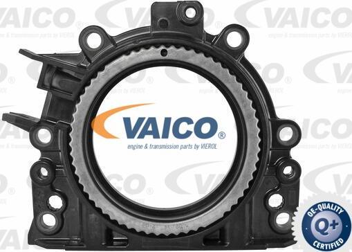 VAICO V10-3680 - Уплотняющее кольцо, коленчатый вал abcparts.ee