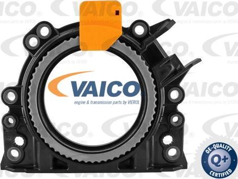 VAICO V10-3683 - Уплотняющее кольцо, коленчатый вал abcparts.ee