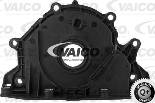 VAICO V10-3682 - Уплотняющее кольцо, коленчатый вал abcparts.ee