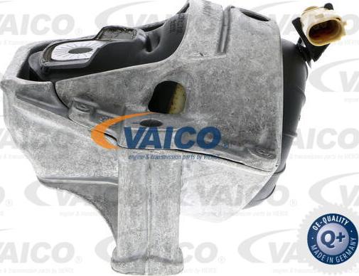 VAICO V10-3755 - Подушка, опора, подвеска двигателя abcparts.ee
