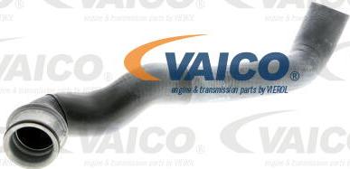 VAICO V30-1650 - Шланг радиатора abcparts.ee