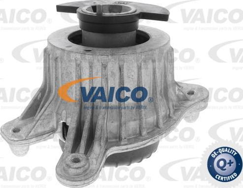 VAICO V30-3099 - Подушка, опора, подвеска двигателя abcparts.ee