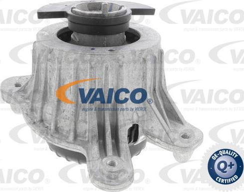 VAICO V30-3194 - Подушка, опора, подвеска двигателя abcparts.ee